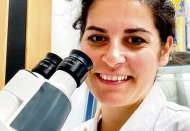 Zarar görmüş sinir dokusunu onarabilen nanorobotlar geliştirdi