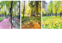 Kavaklık’ta tablo gibi görüntüler…