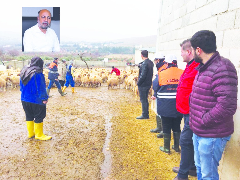 Desteklerin yükseltilmesi olumlu, ancak yeterli değil