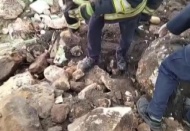 İki yavru köpek, molozların arasından kurtarıldı