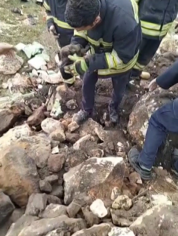 İki yavru köpek, molozların arasından kurtarıldı