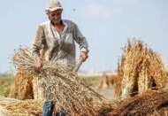 ÇKS’de başvuruların 2 Ocak’a kadar yapılması gerekiyor