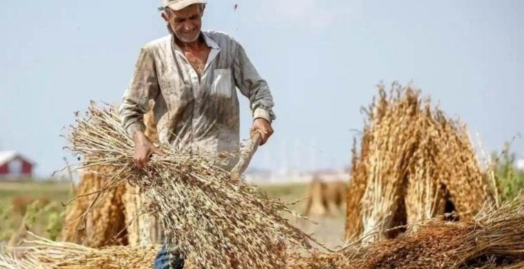 ÇKS’de başvuruların 2 Ocak’a kadar yapılması gerekiyor