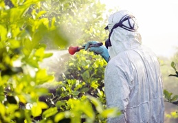 Türkiye’den ihraç edilen 27 gıda ürününde yasaklı klorpirifos maddesine rastlandı