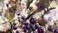 Ressam Pınar Kuseyri, Doğanın nefesi temalı sergi açıyor