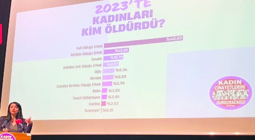 Siyasetçilerin kadın hakları aleyhine yürüttüğü politikalar şiddeti artırıyor
