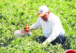 Tarımsal faaliyetlerin daha da zorlaşacağı bir yıl olacak
