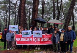 Enerji politikaları, doğal varlıklara ciddi zararlar veriyor