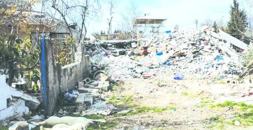 Ördekdede köyü depremden sonra kaderine terkedildi