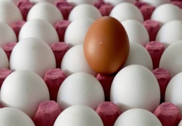 Tavukçular, yumurtadaki fiyat artışından aracıları sorumlu tuttu