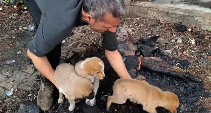 Bunlar insan olamaz!