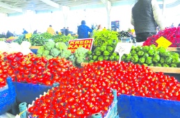 Gaziantep’in gıda enflasyonu bir yılda yüzde 209,76 OLDU
