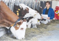 Hayvan ithalatı ile ülkenin kaynakları heba ediliyor