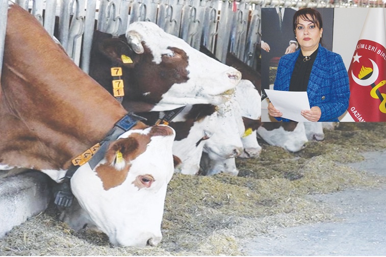 Hayvan ithalatı ile ülkenin kaynakları heba ediliyor