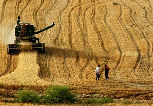 30 yılda tarım alanları yüzde 13 azaldı