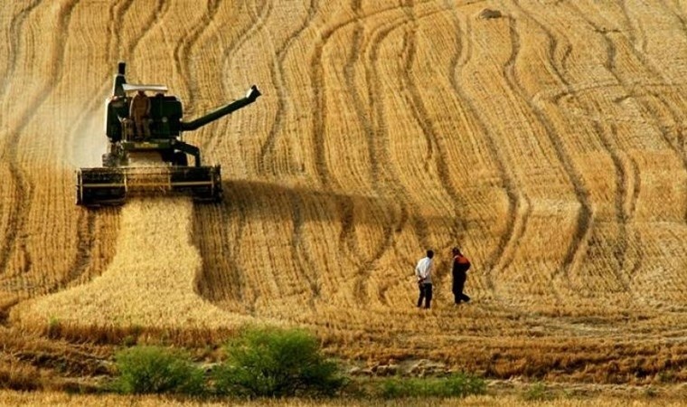 30 yılda tarım alanları yüzde 13 azaldı