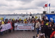“‘Başıboş’ olanlar köpekler değil, nefret siyasetiyle beslenen yöneticilerdir”