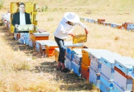 Arıcılar, yeni sezondan umutlu