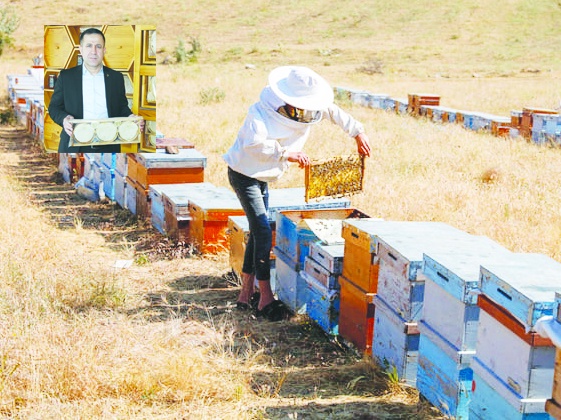 Arıcılar, yeni sezondan umutlu