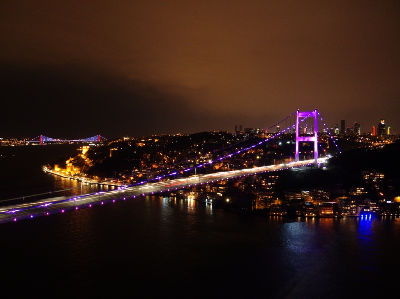 Sembol yapılar, epilepsi farkındalığının rengi mor ile aydınlatıldı