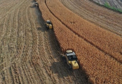 Tarımda üretici fiyatları yüzde 57,85 arttı