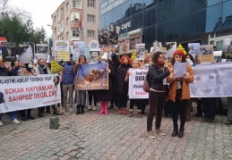 “Asıl katiller ‘başıboş’ bir şekilde sokaklarda dolaşıyor”