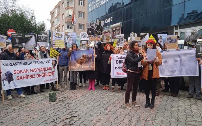 “Asıl katiller ‘başıboş’ bir şekilde sokaklarda dolaşıyor”