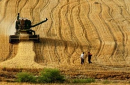 Tarımsal girdi fiyatlarındaki yıllık artış yüzde 41,43