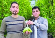 Kilosu 3 bin 500 lira