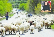 Yaşayabilmek için altına değil tarıma ve hayvancılığa ihtiyaç var