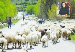 Yaşayabilmek için altına değil tarıma ve hayvancılığa ihtiyaç var