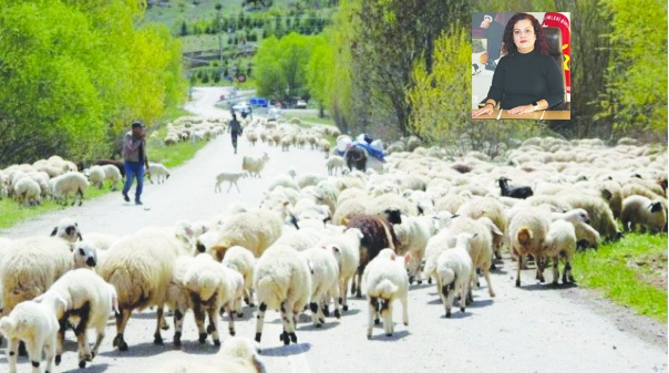Yaşayabilmek için altına değil tarıma ve hayvancılığa ihtiyaç var
