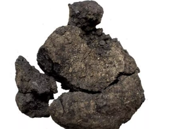 Çatalhöyük’te 8 bin 600 yıllık 'ekmek' bulundu