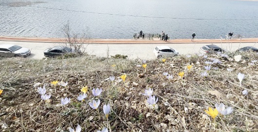 Toprağın cemresi de düştü