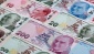 200 lira 2009 yılının 20 lirası oldu!