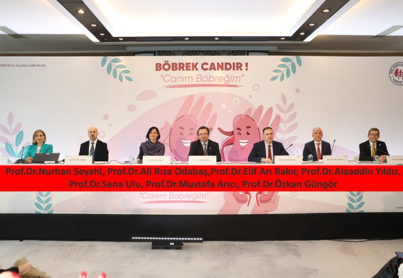 Türkiye'de 68 binin üzerinde hasta son dönem böbrek yetersizliği nedeniyle diyaliz tedavisi görüyor