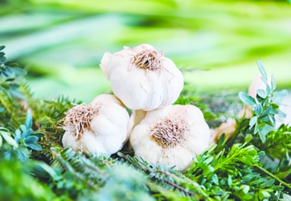 Araban sarımsağı ile 21 ürün AB listesinde