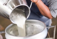 Çiğ süte yüzde 8.5 zam yapıldı