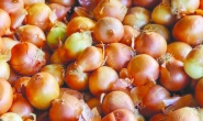 Nisan’da kuru soğanın fiyatı yüzde 73,8 arttı