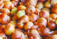 Nisan’da kuru soğanın fiyatı yüzde 73,8 arttı