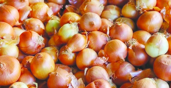 Nisan’da kuru soğanın fiyatı yüzde 73,8 arttı