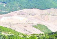 Ağaç kesmeye, ormanları katletmeye doymadılar!