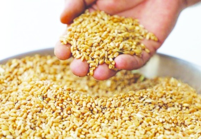 Yumurtalık'ta hasat edildi, Gaziantep'te satıldı! Kilosu 10 TL