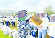 Arıcılıkla uğraşan nüfus yaşlanıyor