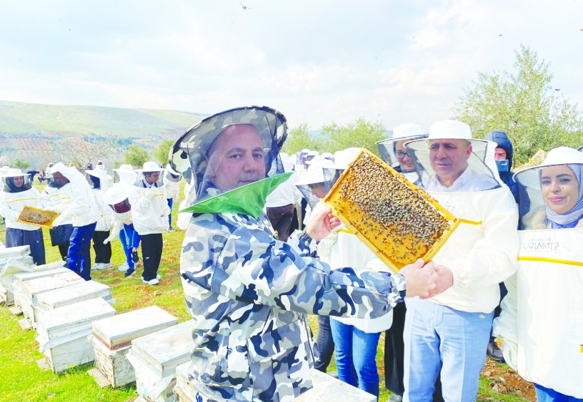 Arıcılıkla uğraşan nüfus yaşlanıyor