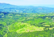 ‘Yenilenebilir enerji’ üretimi gerekçesiyle doğal alanlar şirketlere verilecek