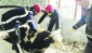 Deprem tarım üretiminin yüzde 20’sinden fazlasına zarar verdi