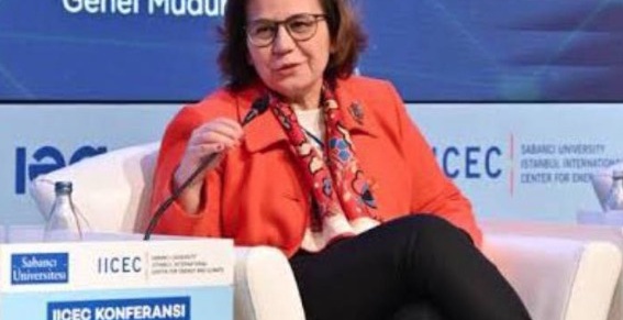 Bir kadın büyükelçi, bakan yardımcılığına atandı