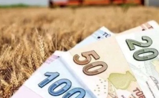 Çiftçi ve üretici kredilerinde limitler artırıldı