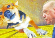 AKP'de 'sokak köpeği' zirvesi: 'Katletme' önerisi de konuşuldu
